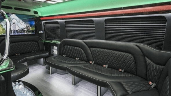 chesapeake 18 passenger party bus rental